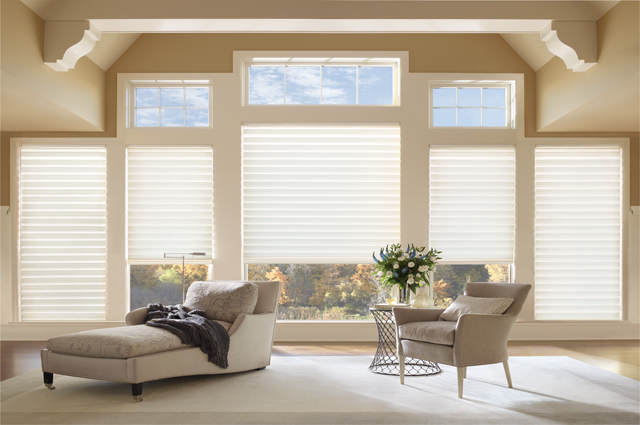 Motorized Roman Shades Available In Parker CO