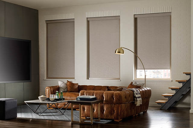 Living Room With Designer Rollers Shades From Colorado Hunter Douglas Dealer