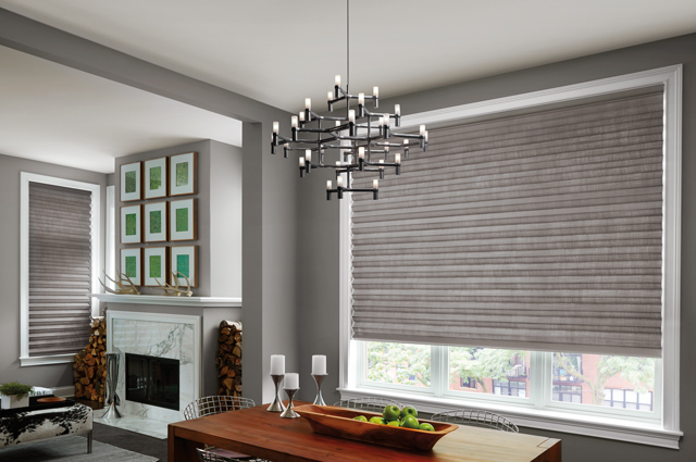 Roman Shades Available In Parker Colorado