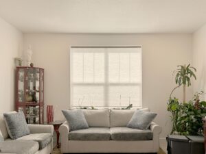 Do Honeycomb Blinds Improve Energy Efficiency? - Hunter Douglas Applause Cellular Shades with LiteRise and Light Filtering Fabric