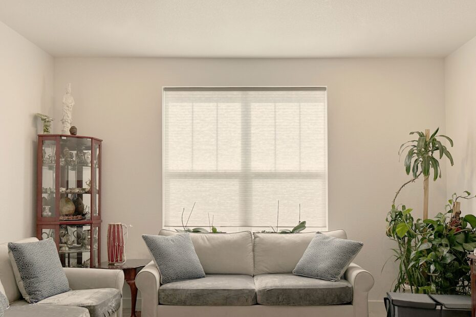 Do Honeycomb Blinds Improve Energy Efficiency? - Hunter Douglas Applause Cellular Shades with LiteRise and Light Filtering Fabric