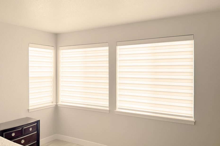 Are Zebra Shades Worth the Investment? - Hunter Douglas Motorized Designer Banded Shades with Custom Clutch and Light Filtering fabric