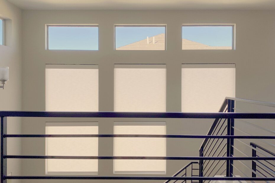 Electric vs. Automatic Blinds - Hunter Douglas Designer Roller Shades with PowerView Automation and light filtering fabric