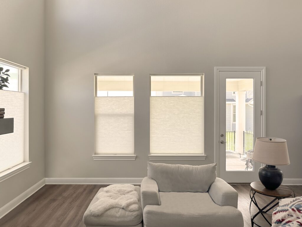 Hunter Douglas Applause Cellular Shades with LiteRise, Top-Down Bottom-Up, and Light Filtering Fabric for Colorado living room