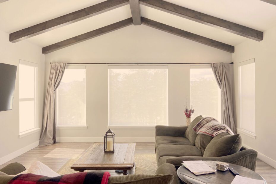 Hunter Douglas Designer Screen Shades with PowerView motorization and light filtering fabric for modern light control