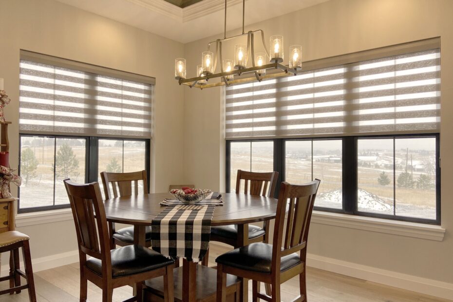 Elegant window shades for privacy and views.