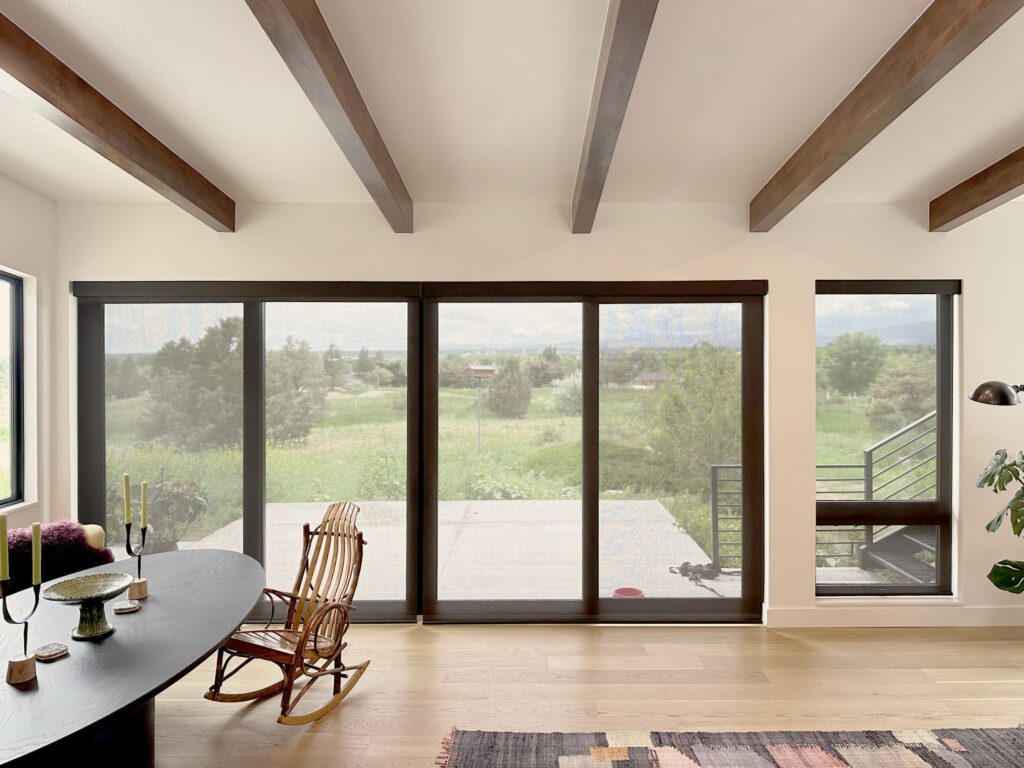 Hunter Douglas Designer Screen Shades for Glass Patio Doors with PowerView Automation