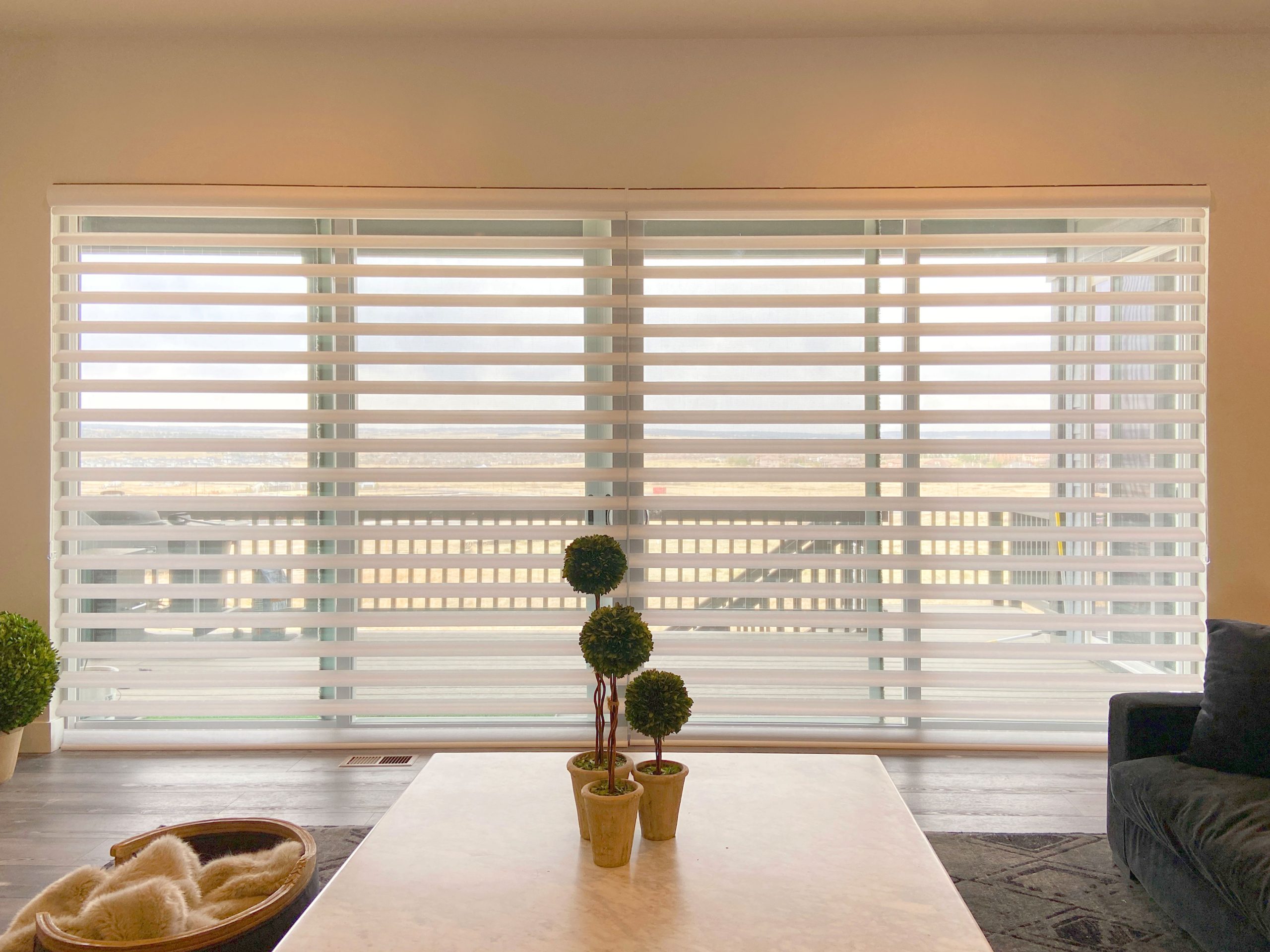 Hunter Douglas Pirouette Privacy Sheers in Boulder with EasyRise operation and light filtering fabric