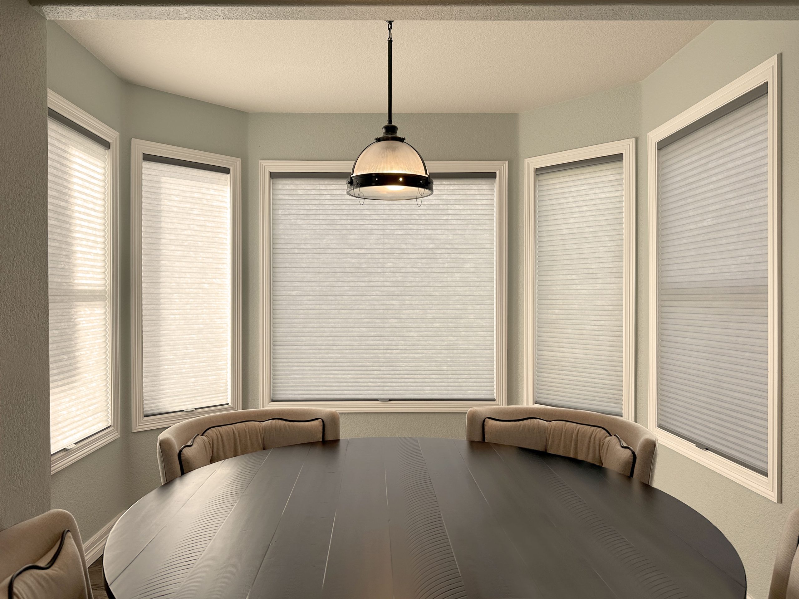 Colorado Springs Hunter Douglas Applause Cellular Shades with LiteRise operation and light filtering fabric