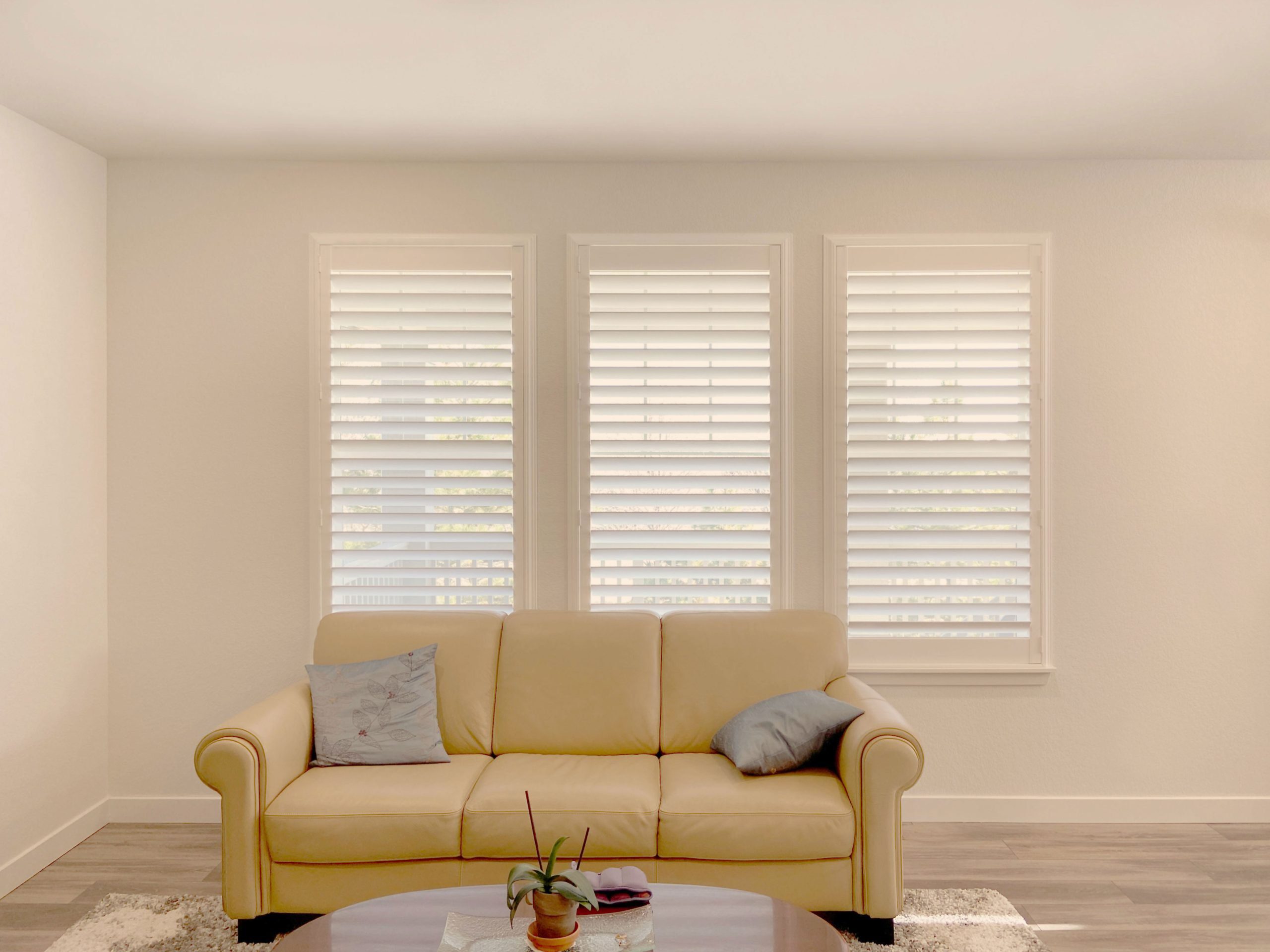Hunter Douglas Palm Beach Polysatin Shutters with hidden tilt control and Z Frame for a clean, built-in look installed in Littleton, CO home