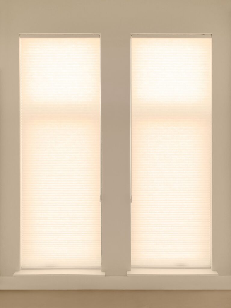Alta Honeycomb Shades with Light Filtering fabric and Continuous Cord loop operation for Colorado home