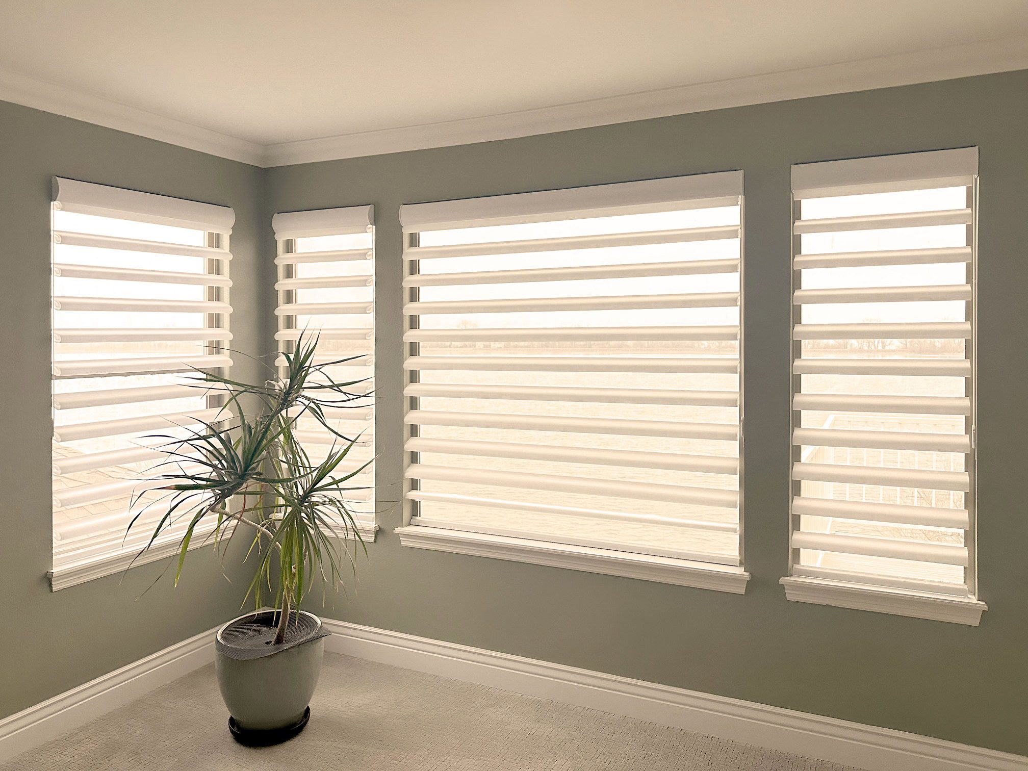 Hunter Douglas Pirouette Privacy Sheers with EasyRise and Light Filtering fabric for Colorado Springs home