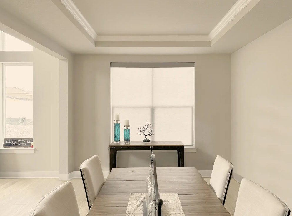 Hunter Douglas Designer Roller Shades with PowerView Automation in Lakewood.