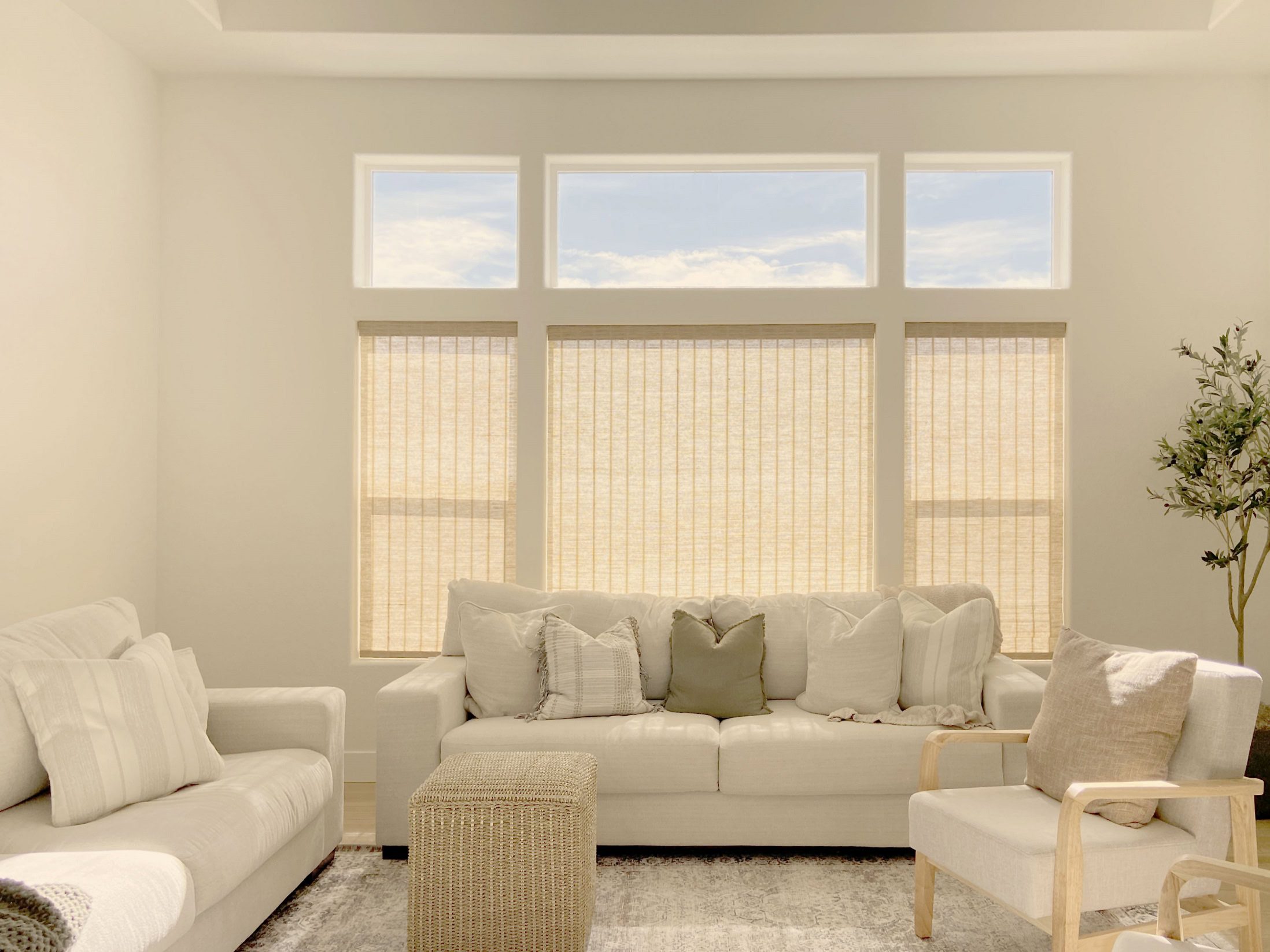 Hunter Douglas Provenance Woven Wood Shades with PowerView automation and light filtering liner for Colorado living room