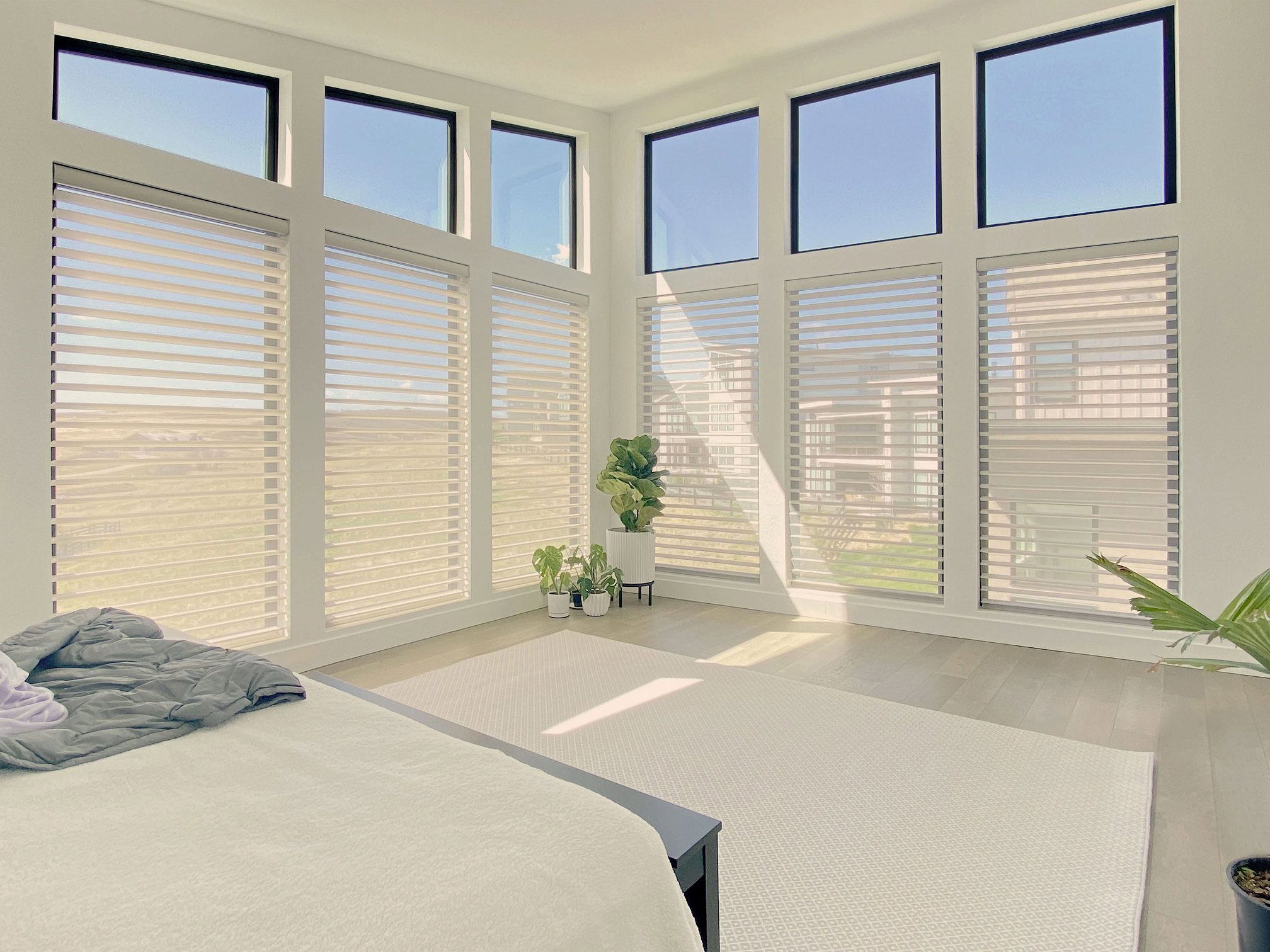 Hunter Douglas Silhouette Privacy Sheers with PowerView Automation and Light Filtering fabric for Colorado homes