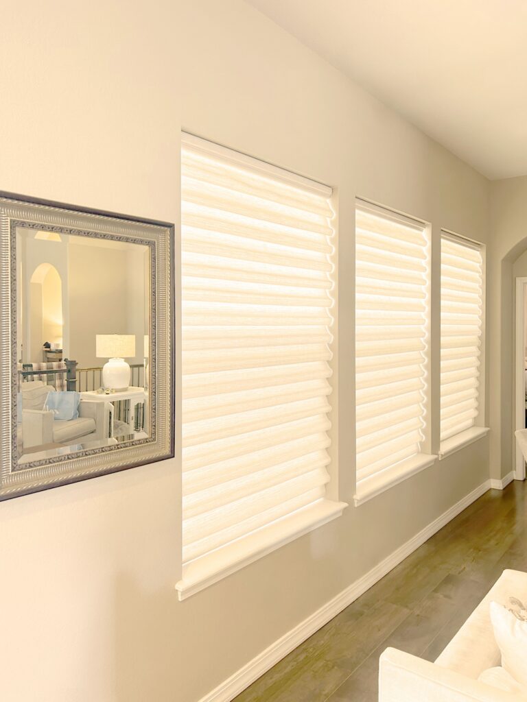 Modern Hunter Douglas Vignette Roman Shades for Colorado Home