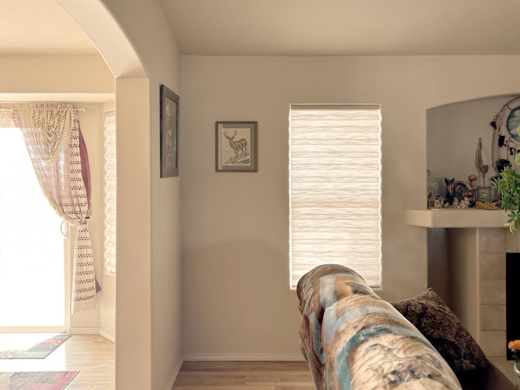 Hunter Douglas Vignette Roman Shades with LiteRise for Castle Rock Living Room
