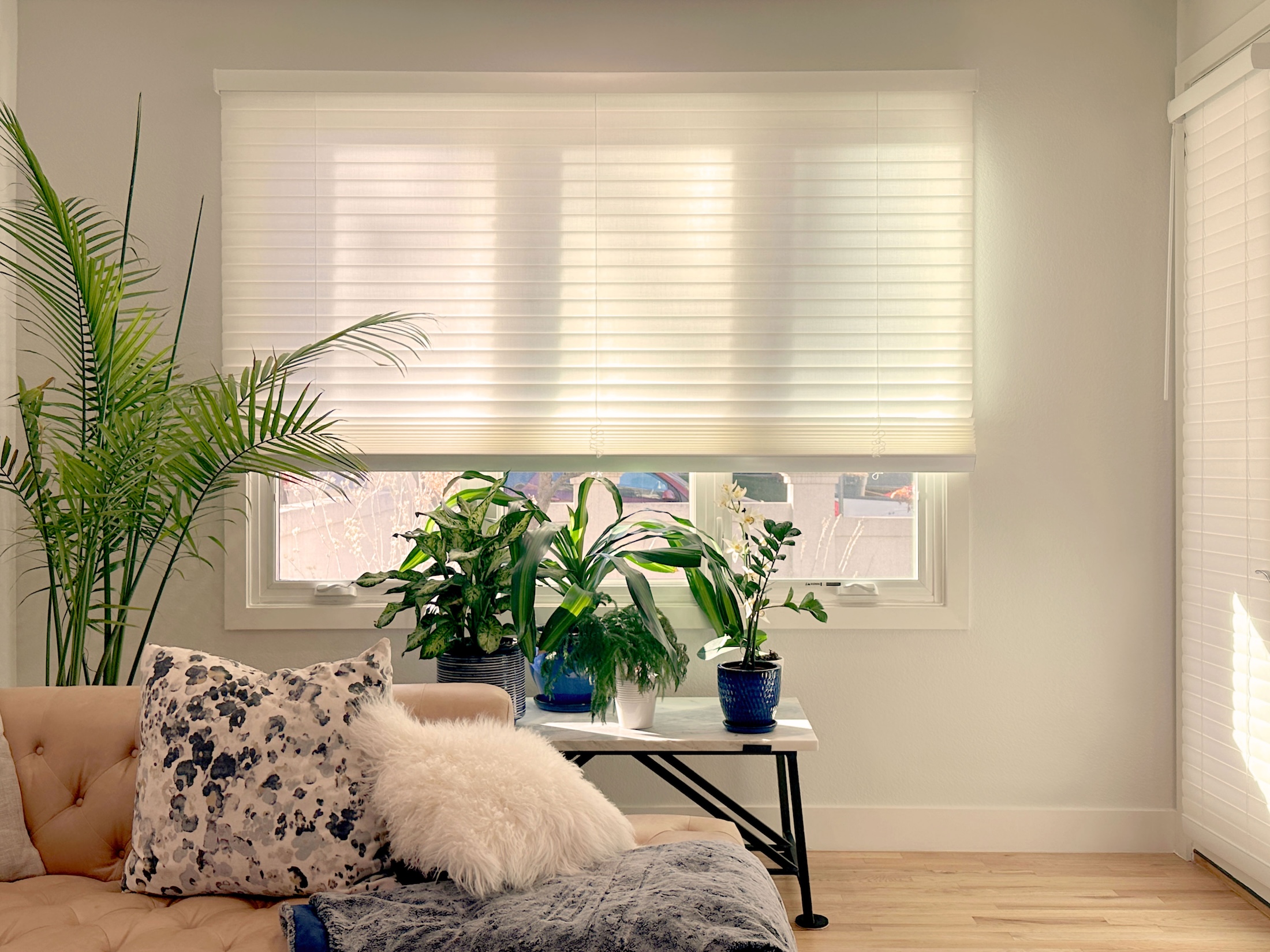 Motorized Soft Blinds Installed in Greenwood Village CO Home