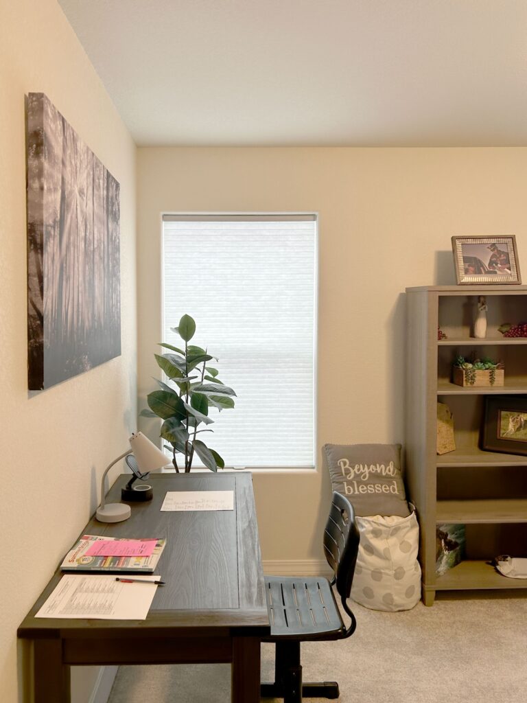 Light-filtering honeycomb shades for home offices in Lone Tree Colorado
