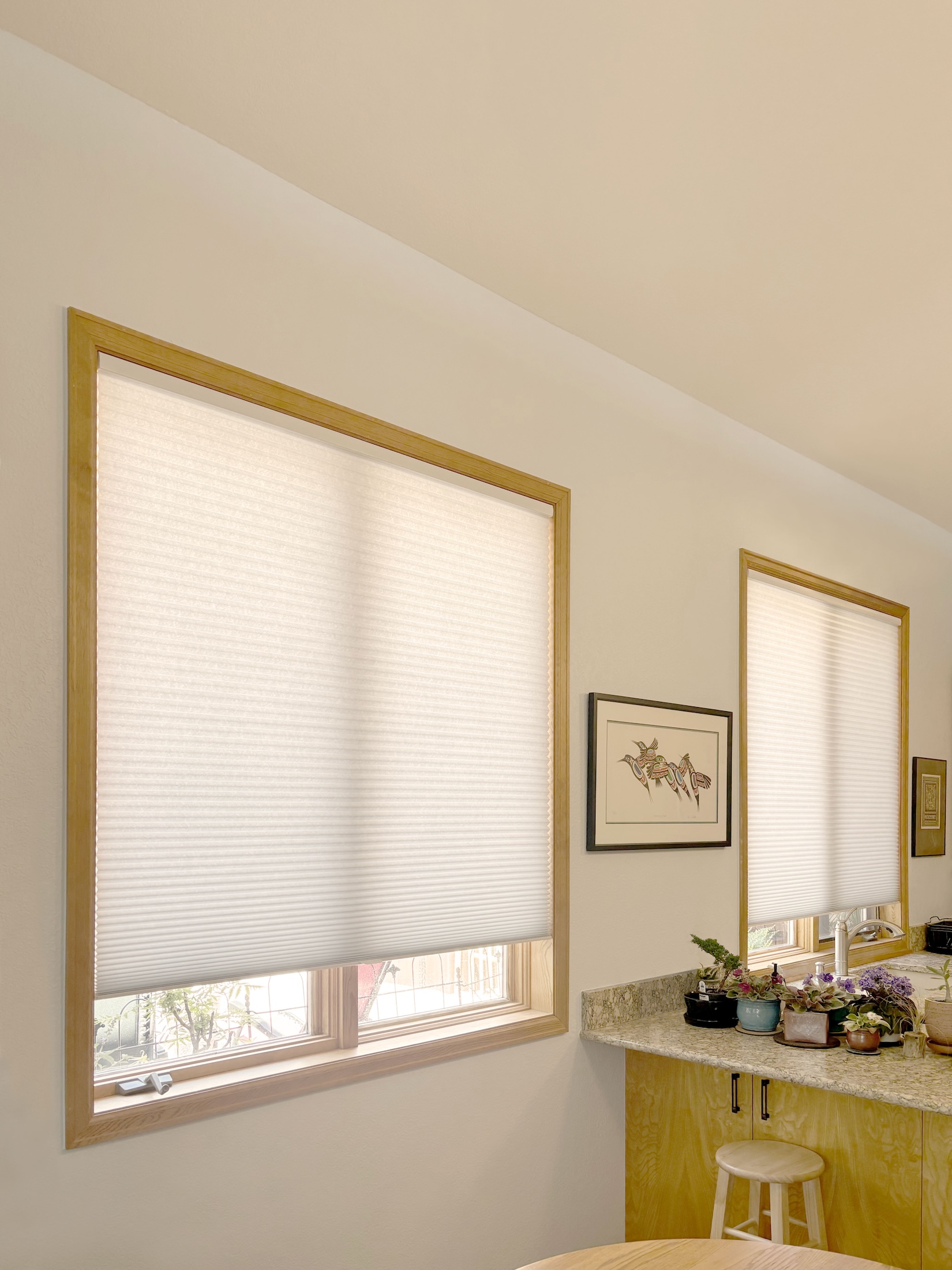 AIM installers worked on energy-efficient cellular shades in Colorado home
