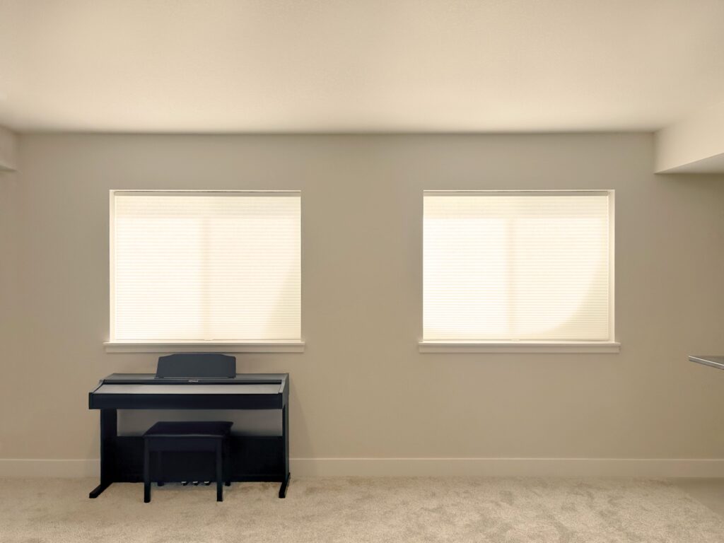 Hunter Douglas Duette Cellular Shades with LiteRise for Loveland Home Office