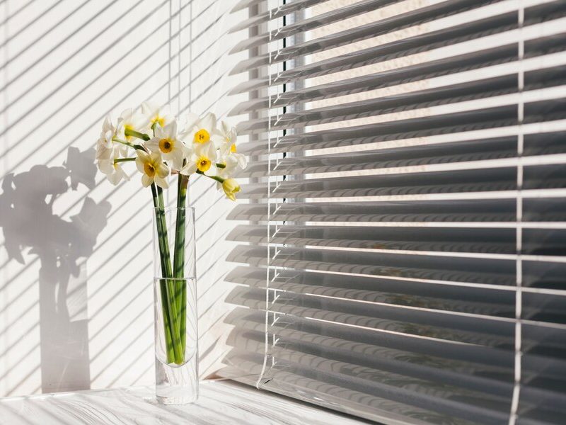 Best Window Treatment and Lighting Control Services in Centennial